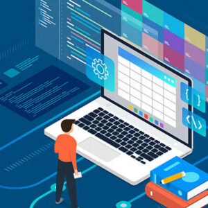 Public API Developer Portal Development